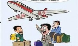 吃瓜群众是什么飞机,揭秘神秘飞机背后的故事