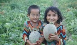 吃瓜群众新疆,吃瓜群众的视角解读这片神秘土地