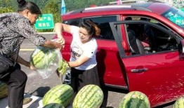 邹平吃瓜群众,揭秘当地生活百态