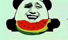 吃瓜群众这词怎么出来的,“吃瓜群众”一词的起源与流行解析