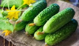 适合群众吃瓜的食物是