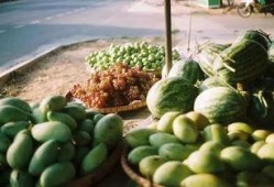 中国最强在线吃瓜群众,揭秘网络舆论场中的“瓜王”传奇