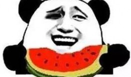 吃瓜群众发言人是谁,揭秘网络舆论背后的神秘力量