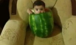 吃瓜群众在线吃瓜图片,吃瓜群众在线共享瓜界盛宴