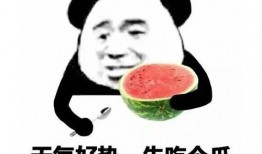 吃瓜群众比心西瓜表情包,吃瓜群众比心西瓜表情包走红网络