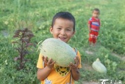 小孩子吃瓜群众搞笑