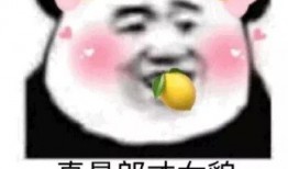 吃瓜群众的柠檬,揭秘娱乐圈的酸甜苦辣