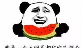 吃瓜群众之路,揭秘网络舆论场的众生相