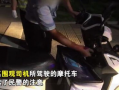 吃瓜群众弟妹视频大全下载,一网打尽热门瞬间