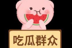 吃瓜群众影子素材下载网站