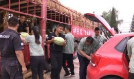 吃瓜群众真快乐图片大全,真快乐图片大全集锦