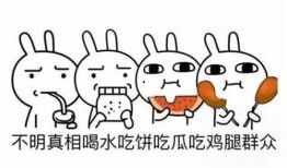 吃瓜群众的英文解释