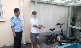 情人节吃瓜群众视频,吃瓜群众视角下的甜蜜与尴尬瞬间