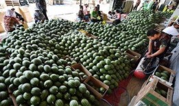 蟠桃街的吃瓜群众,吃瓜群众的欢乐盛宴