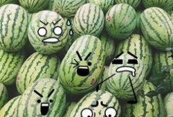 吃瓜群众福利怎么找,如何轻松获取“吃瓜群众福利”