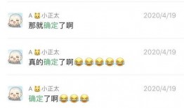 吃瓜群众壁纸猫咪,萌态十足壁纸赏析