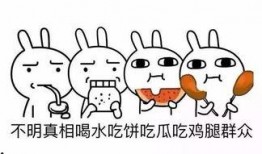 吃瓜群众英语单词怎么说,Evaluating the Popularity of 'Eating Watermelon Spectators' in English