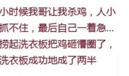 吃瓜群众歌曲文案素材,揭秘娱乐圈背后的秘密与真相