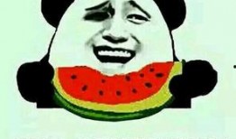 吃瓜群众的对应成语怎么说